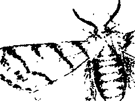 062/062260070500640_1.png