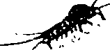 062/062260070500710_0.png