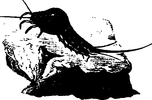 062/062260070500710_1.png