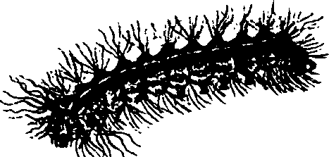 062/062260070500730_0.png