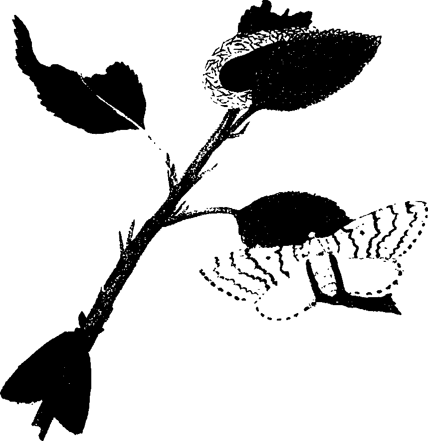 062/062260070500730_1.png