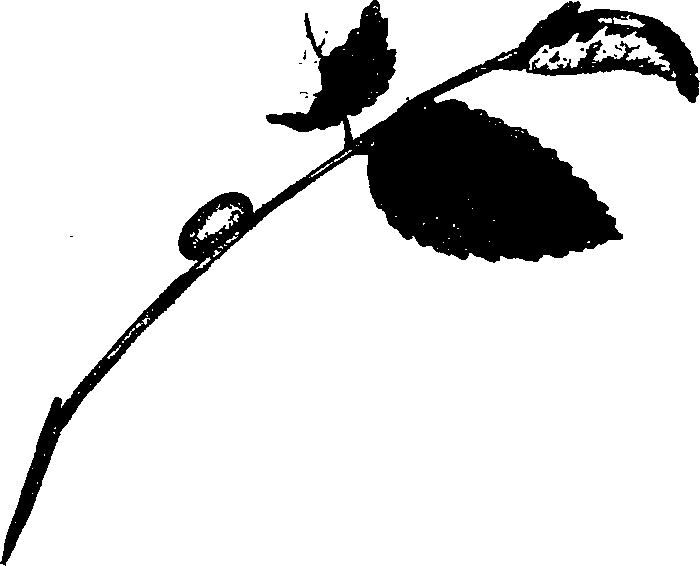 062/062260070500770_0.png