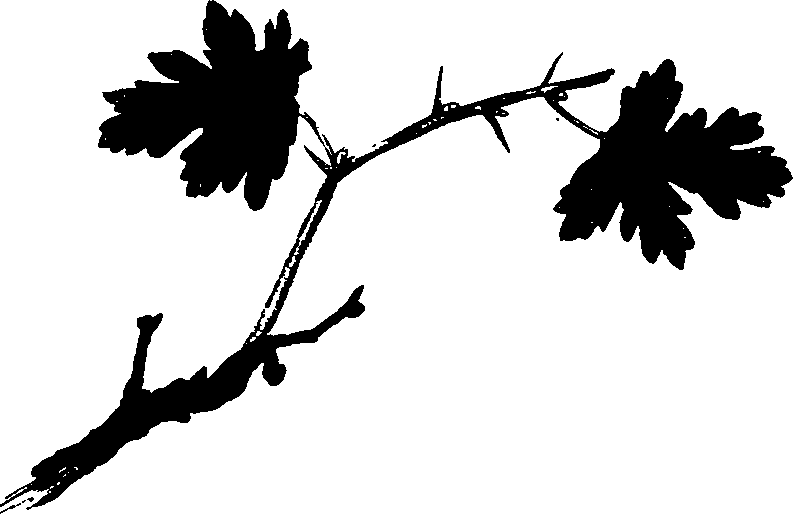 062/062260070500900_1.png