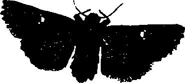 062/062260070500900_2.png