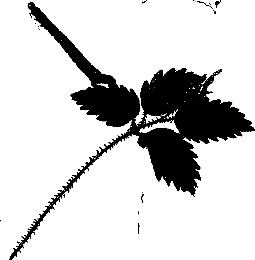 062/062260070500950_0.png