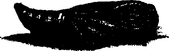 062/062260070501020_0.png