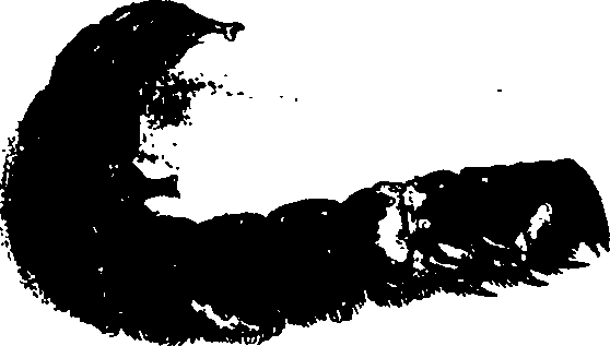062/062260070501020_1.png