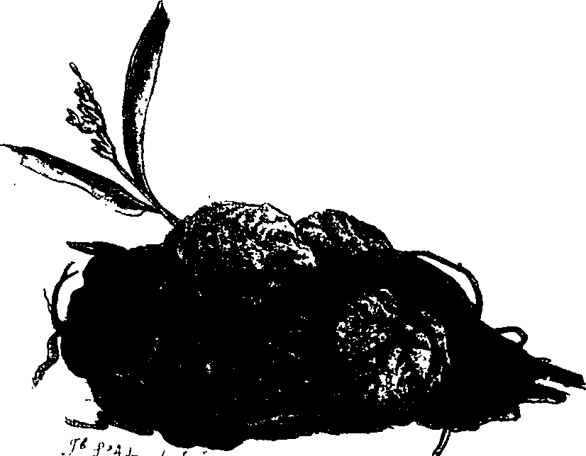 062/062260070501020_2.png