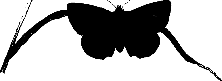 062/062260070501040_0.png