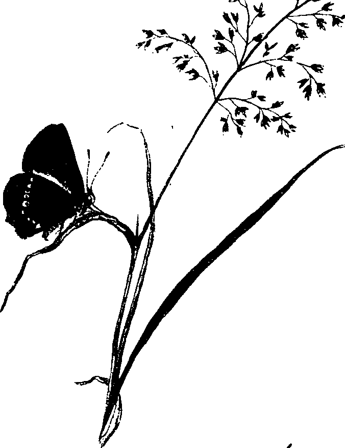 062/062260070501040_1.png