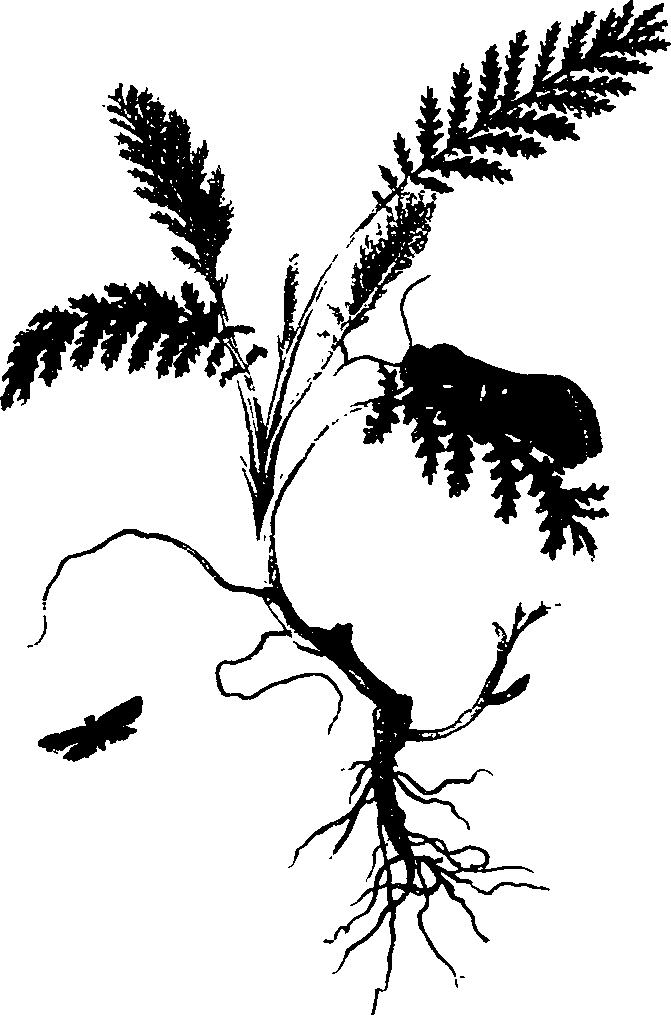 062/062260070501100_0.png