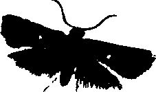 062/062260070501100_1.png