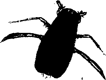 062/062260070501130_0.png
