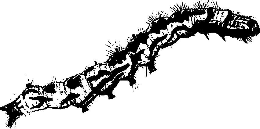 062/062260070501160_0.png