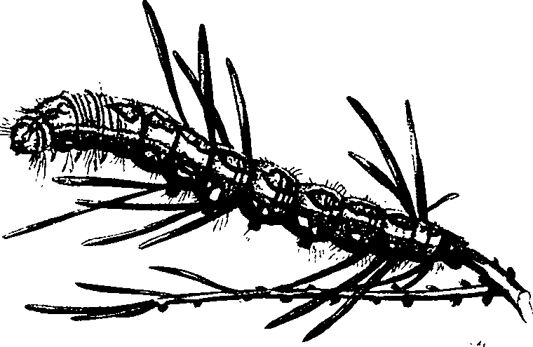 062/062260070501160_1.png