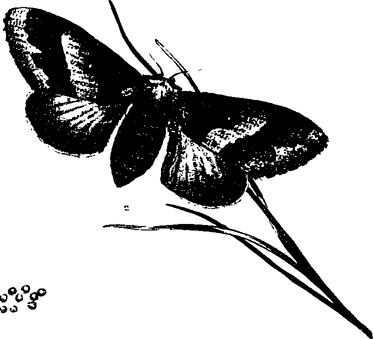 062/062260070501190_0.png