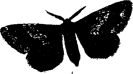 062/062260070501190_1.png