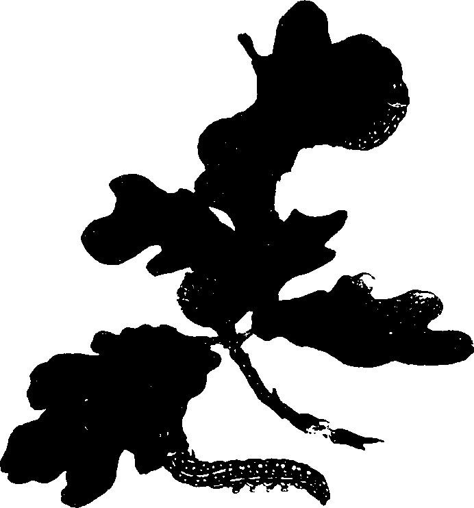 062/062260070501220_0.png