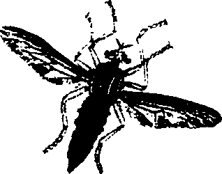 062/062260070501250_0.png