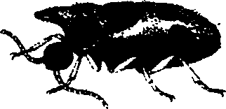 062/062260070600050_0.png