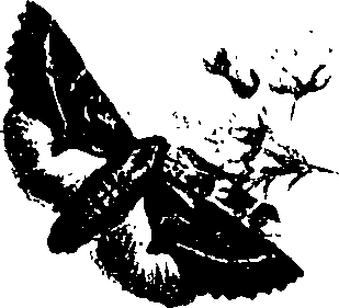 062/062260070600080_1.png