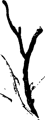 062/062260070600080_2.png