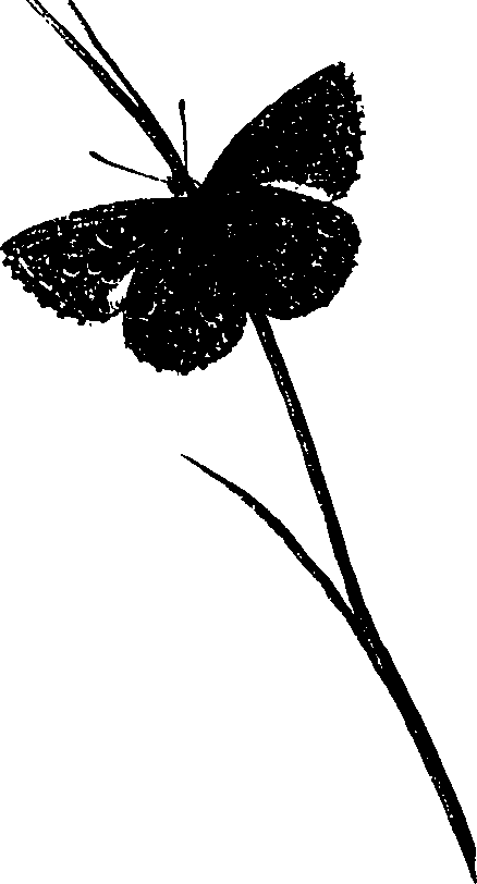 062/062260070600100_0.png