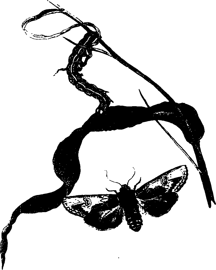 062/062260070600200_0.png