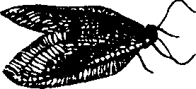 062/062260070600230_0.png