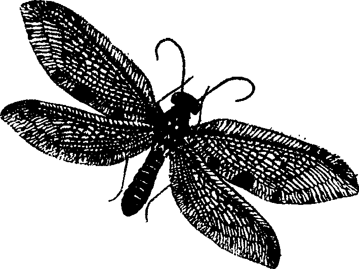 062/062260070600230_1.png