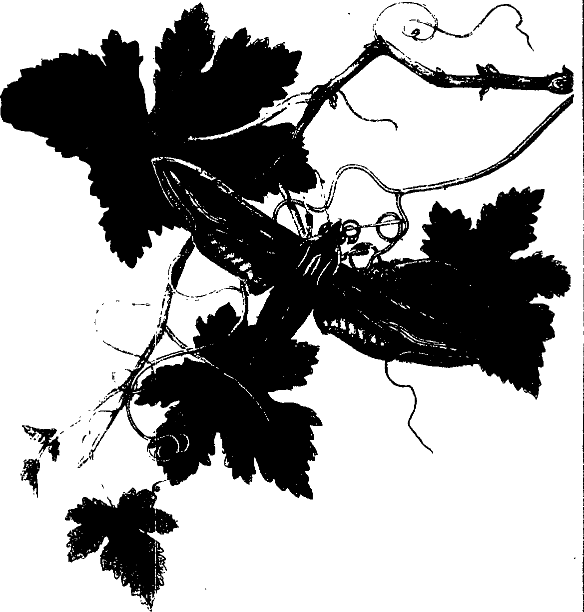 062/062260070600290_0.png