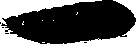 062/062260070600320_0.png
