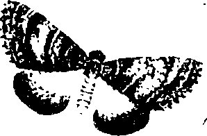 062/062260070600330_0.png