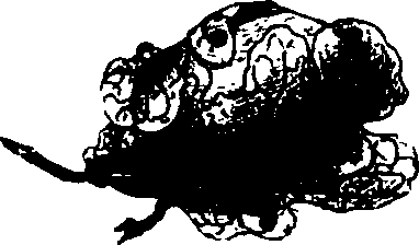 062/062260070600360_0.png