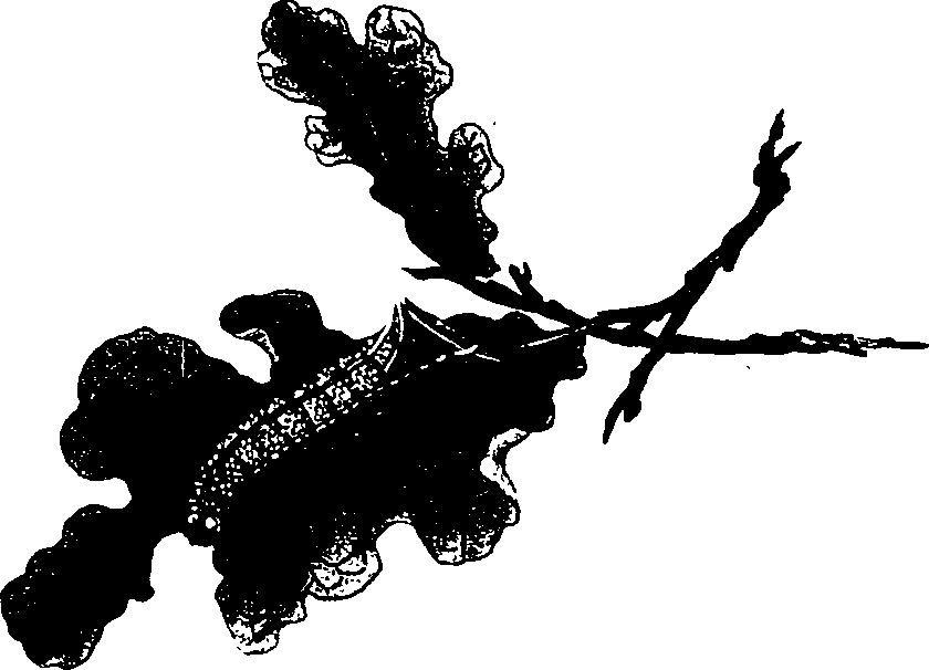 062/062260070600360_1.png