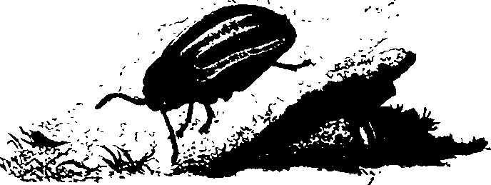 062/062260070600390_0.png