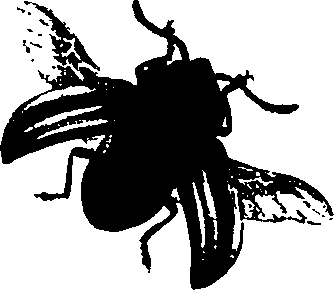 062/062260070600390_1.png