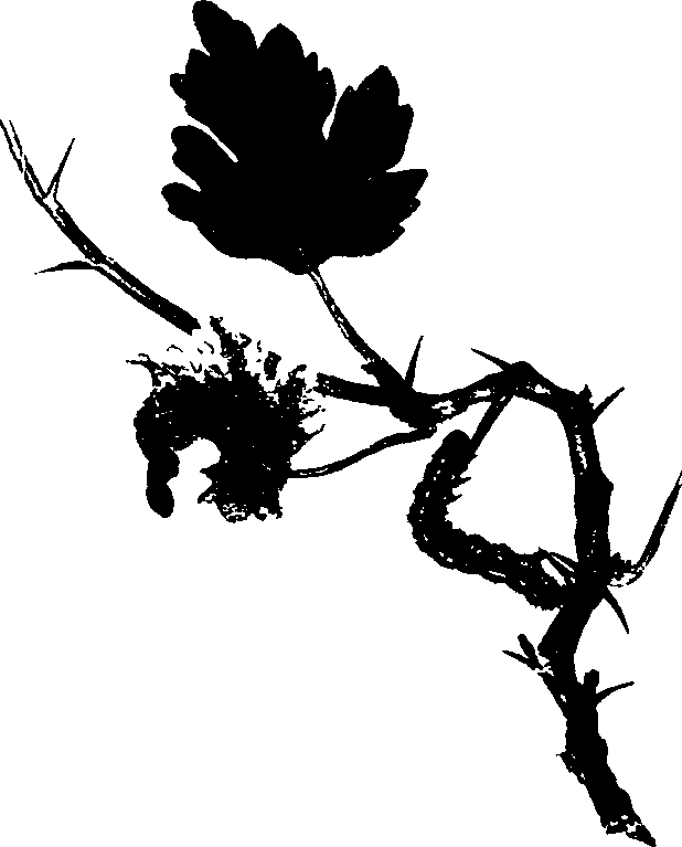 062/062260070600440_0.png