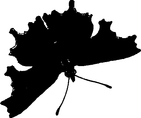 062/062260070600540_0.png