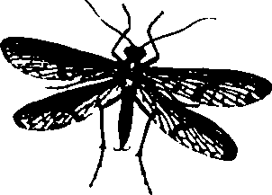 062/062260070600600_0.png