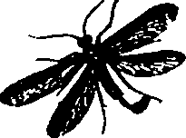 062/062260070600600_1.png