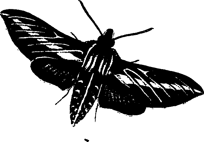 062/062260070600700_0.png