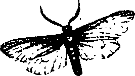 062/062260070600700_1.png