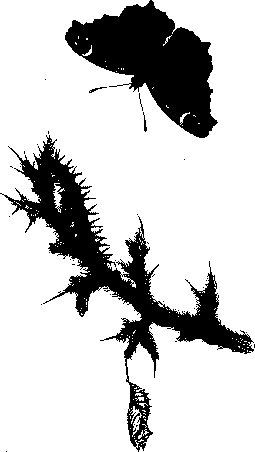 062/062260070600770_0.png