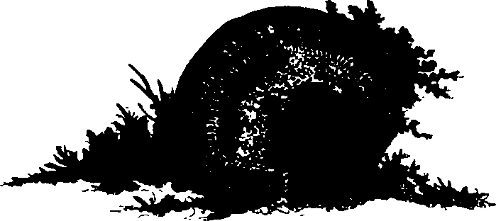 062/062260070600800_1.png