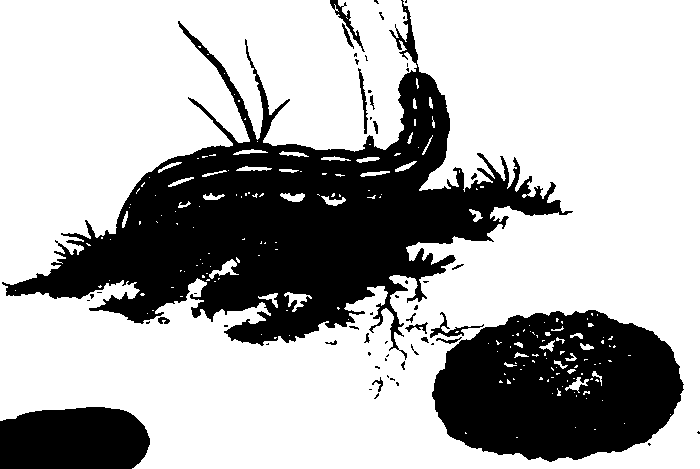 062/062260070600820_0.png