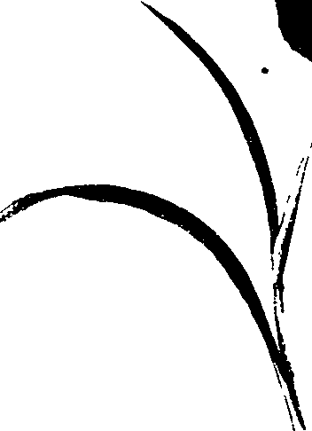 062/062260070600820_1.png