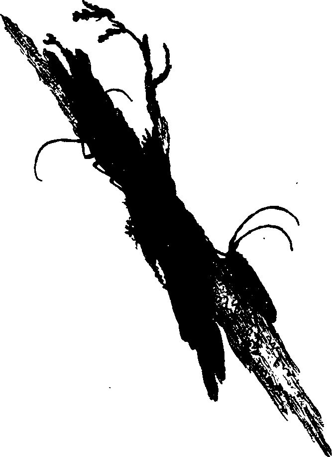 062/062260070600850_0.png