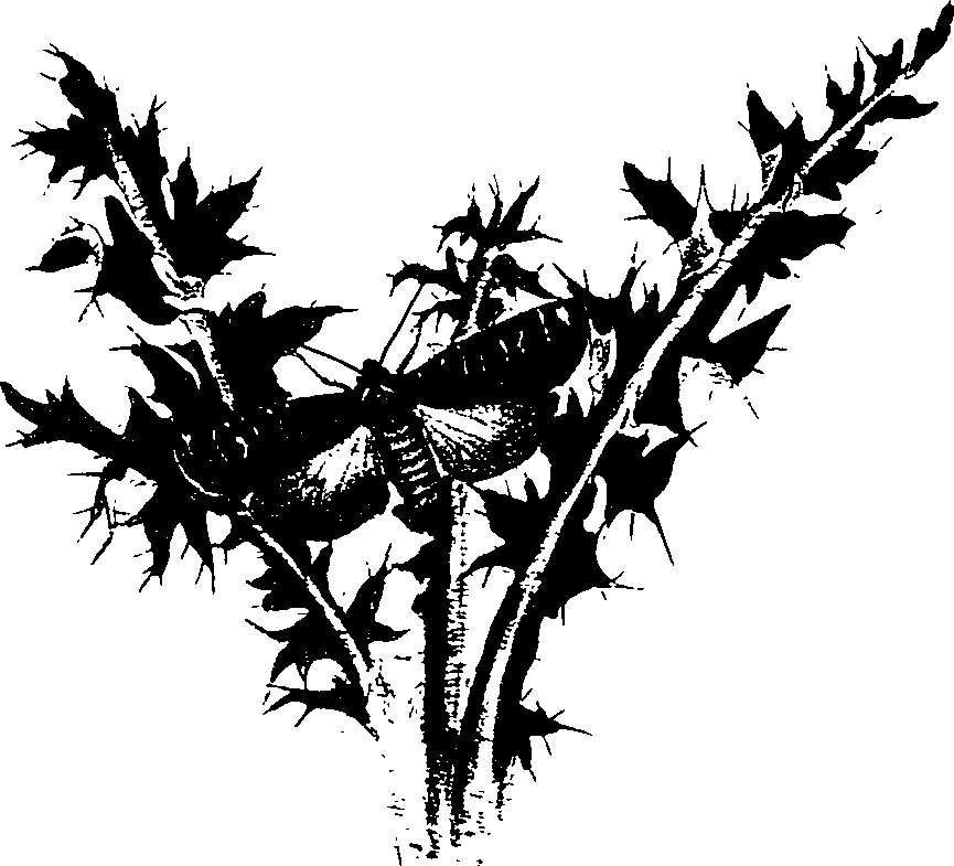 062/062260070600960_0.png