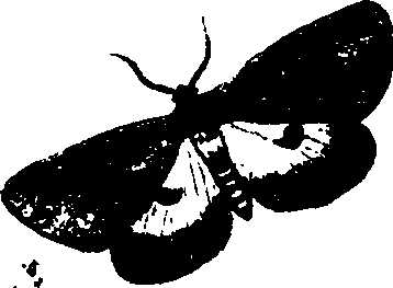 062/062260070600990_1.png